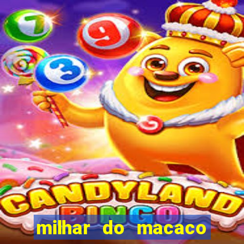 milhar do macaco que mais saem no jogo do bicho