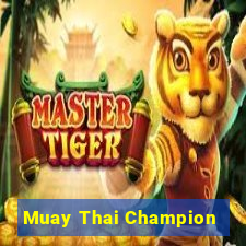 Muay Thai Champion