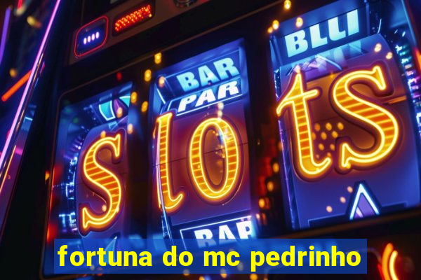 fortuna do mc pedrinho