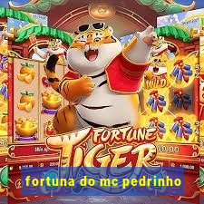 fortuna do mc pedrinho