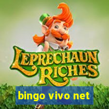 bingo vivo net