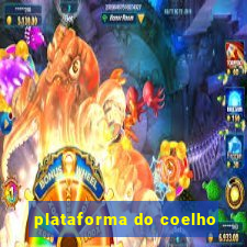 plataforma do coelho