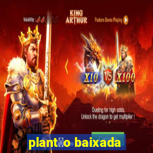 plant茫o baixada