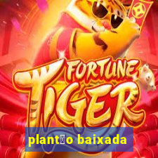 plant茫o baixada