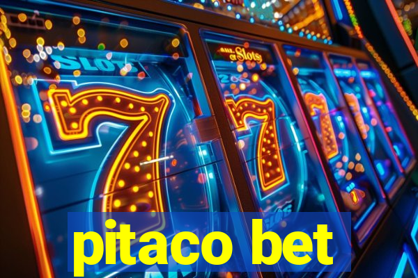 pitaco bet