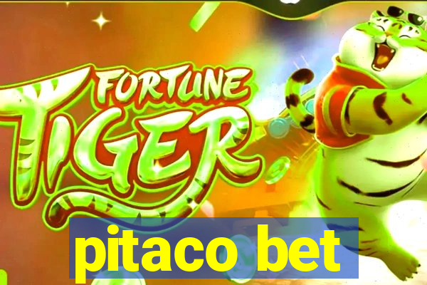 pitaco bet