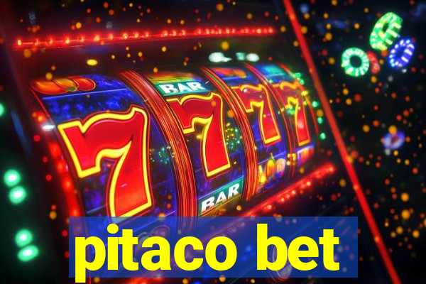 pitaco bet