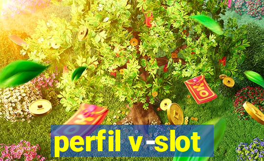 perfil v-slot