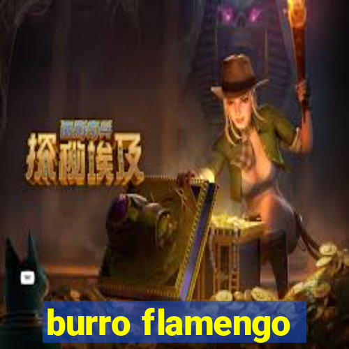 burro flamengo