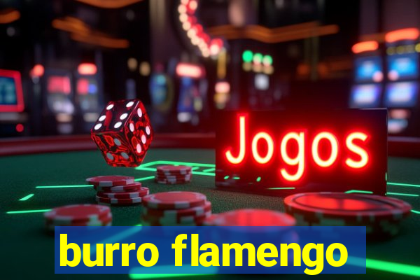 burro flamengo