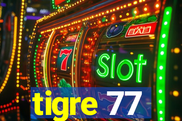 tigre 77