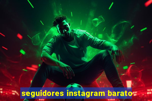 seguidores instagram barato