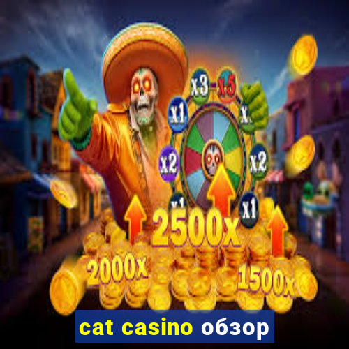 cat casino обзор