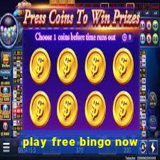 play free bingo now