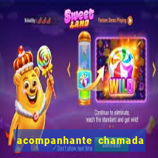 acompanhante chamada de vídeo