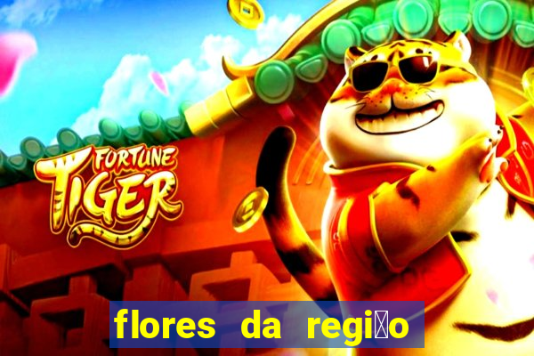 flores da regi茫o sul do brasil