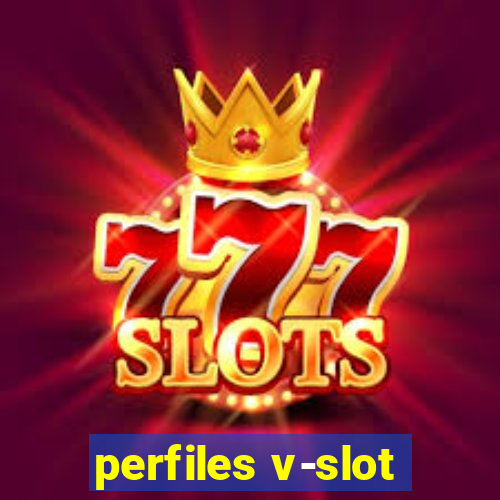 perfiles v-slot