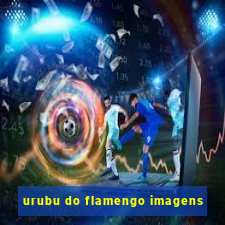 urubu do flamengo imagens