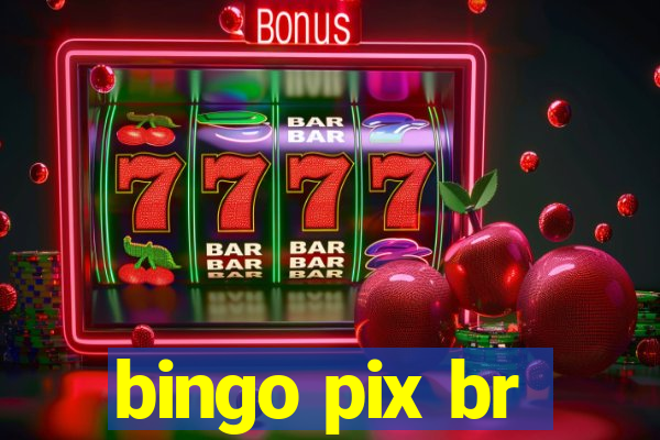 bingo pix br