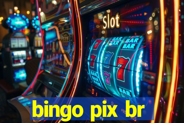 bingo pix br