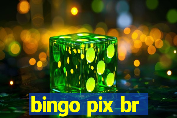 bingo pix br