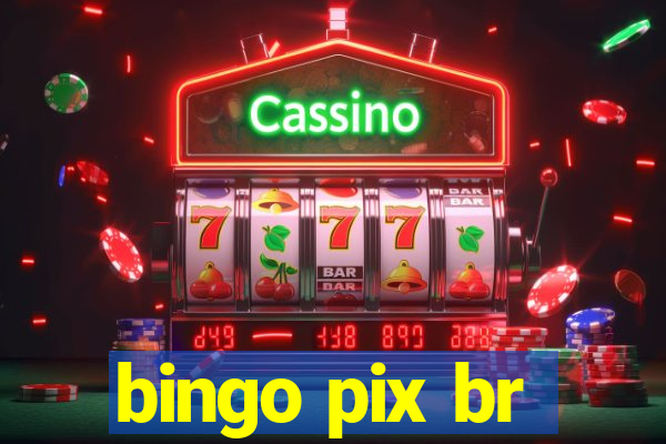 bingo pix br