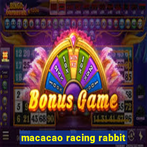 macacao racing rabbit