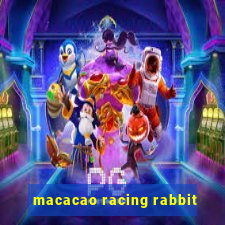 macacao racing rabbit