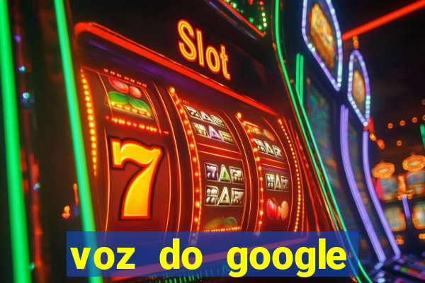 voz do google tradutor homem