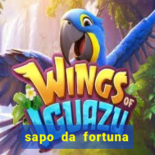 sapo da fortuna feng shui