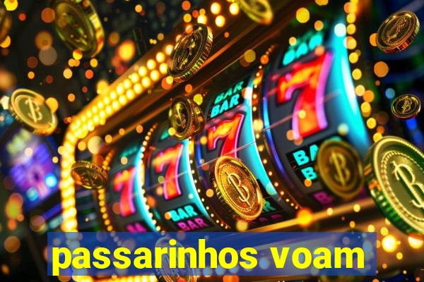 passarinhos voam