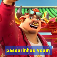 passarinhos voam