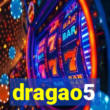 dragao5