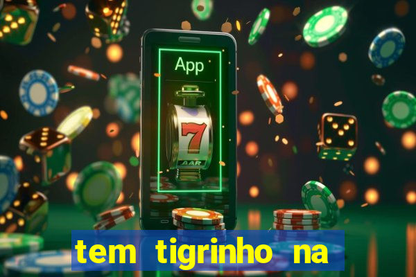 tem tigrinho na bet 365