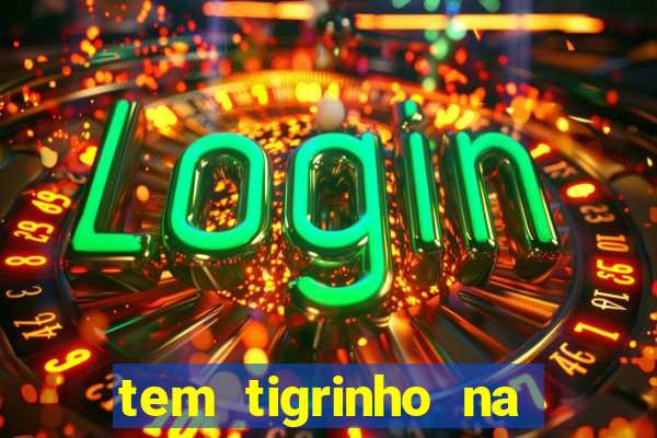 tem tigrinho na bet 365