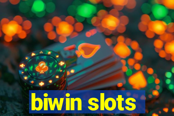 biwin slots