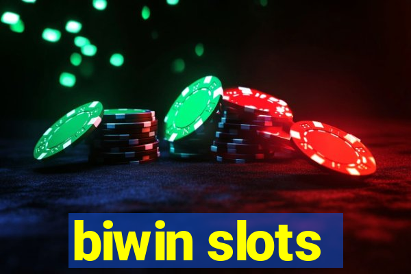 biwin slots