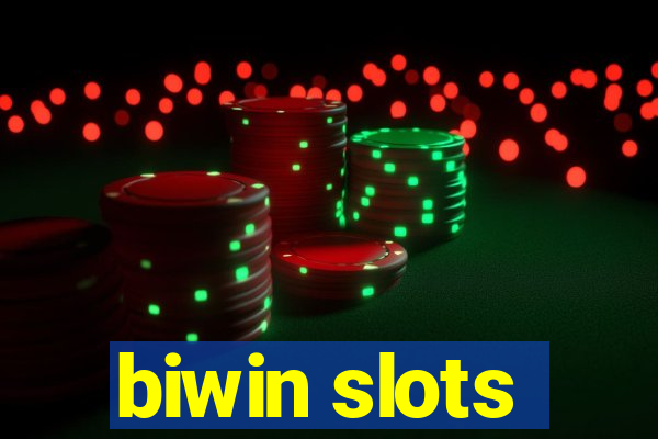 biwin slots