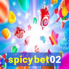 spicybet02