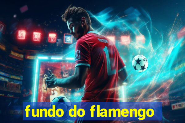 fundo do flamengo