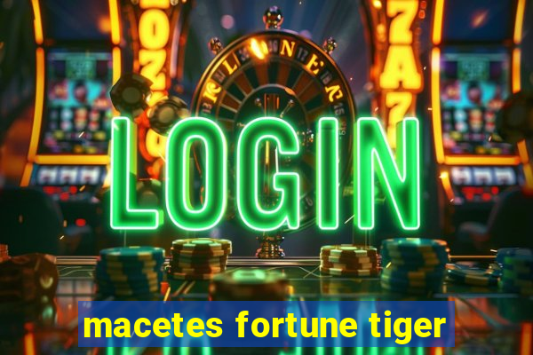 macetes fortune tiger