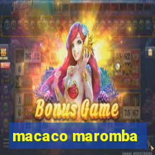 macaco maromba