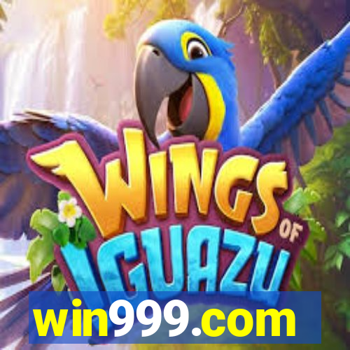 win999.com