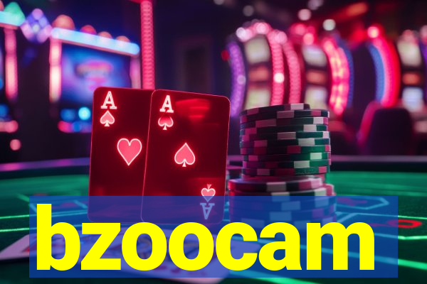 bzoocam