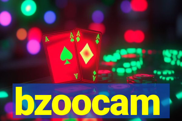 bzoocam