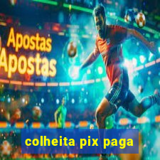 colheita pix paga