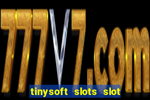 tinysoft slots slot machines & casino games