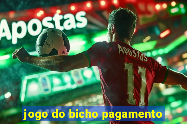 jogo do bicho pagamento