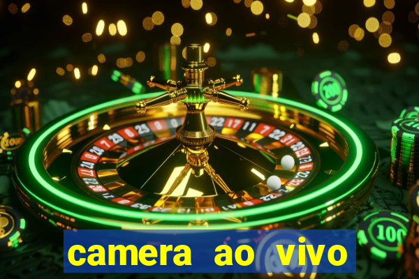 camera ao vivo terminal vila nova cachoeirinha