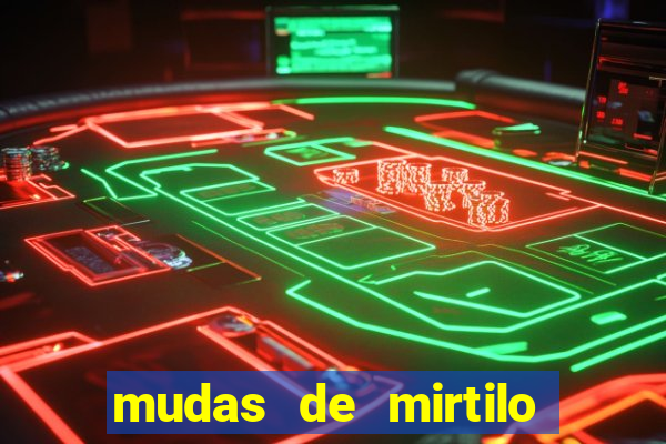 mudas de mirtilo em porto alegre